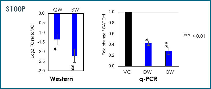 Figure 1A