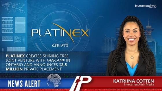 Platinex creates Shining Tree Joint Venture near Timmins, Ontario with Fancamp and announces $2.5 million private placement: Platinex creates Shining Tree Joint Venture near Timmins, Ontario with Fancamp and announces $2.5 million private placement