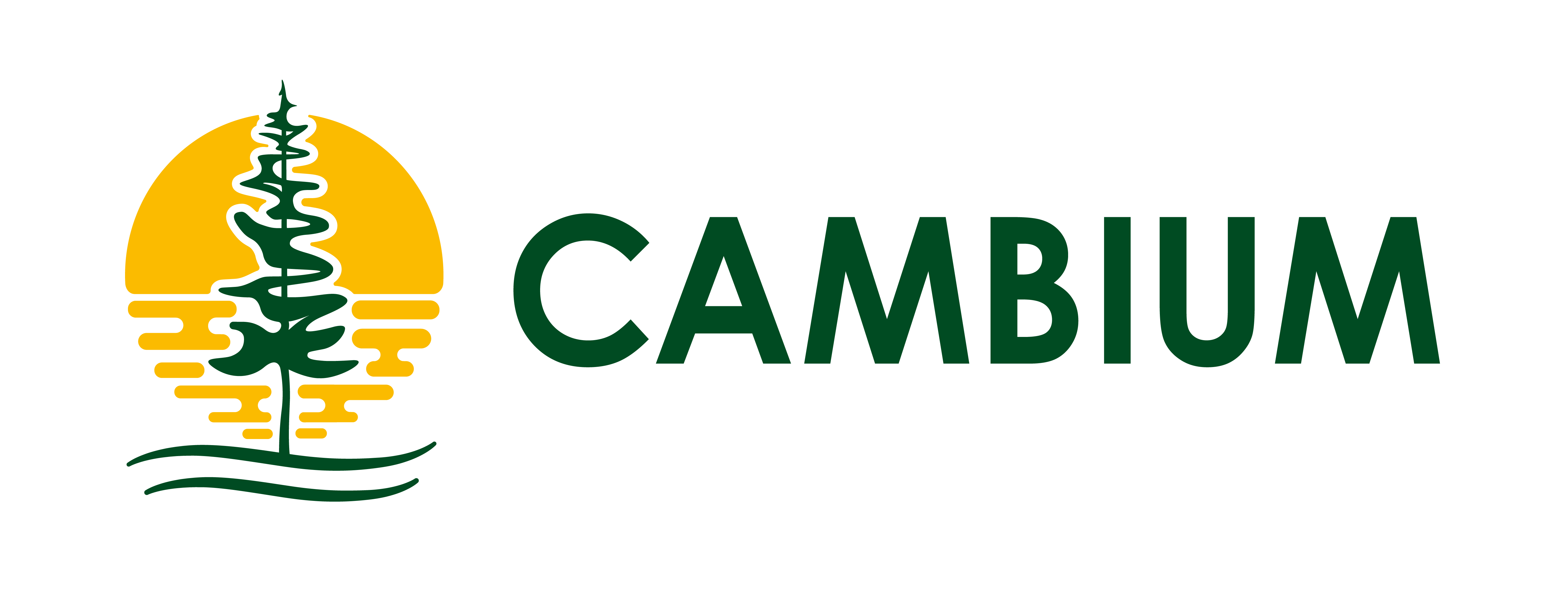 Cambium_Logo_Landscape_RGB_Regular.png