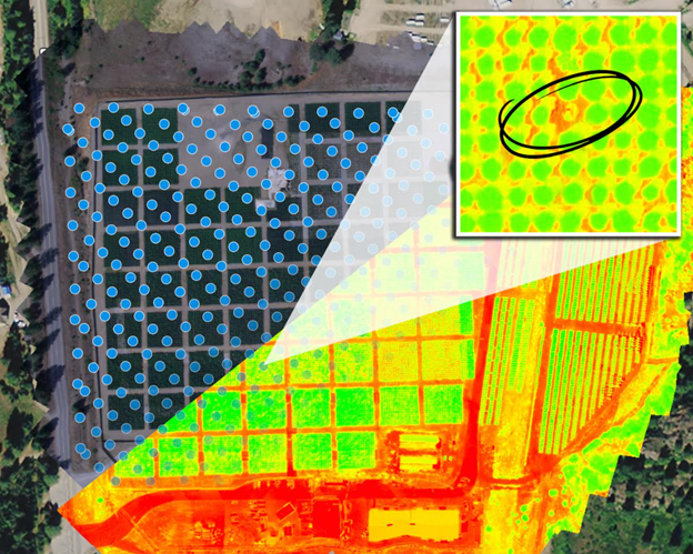Multispectral map of the Company’s grounds in the Christina Lake region of British Columbia, showing how CLC’s cannabis plants are currently monitored. Each dot represents an image capture point on the path of the Company’s survey drone. The “heatmap” overlay provides insights about the health of a cluster of plants, with good overall health indicated by a bright shade of green. As shown in the upper-right inset, individual plants can be targeted on demand to allow potential areas of concern to be scrutinized.