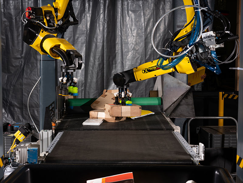 Dual robot singulator