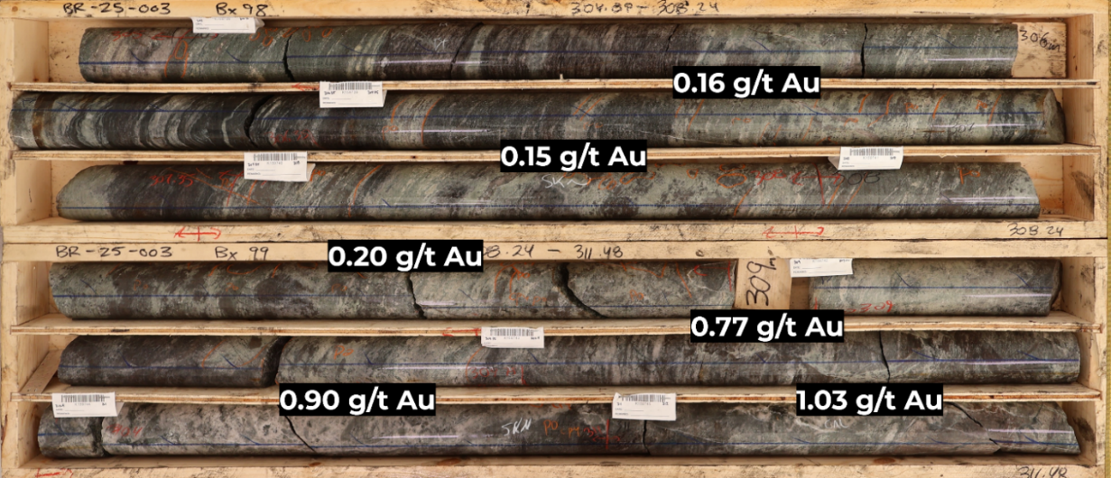 Figure 3 image