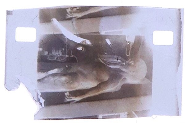 Alien Autopsy NFT Dr