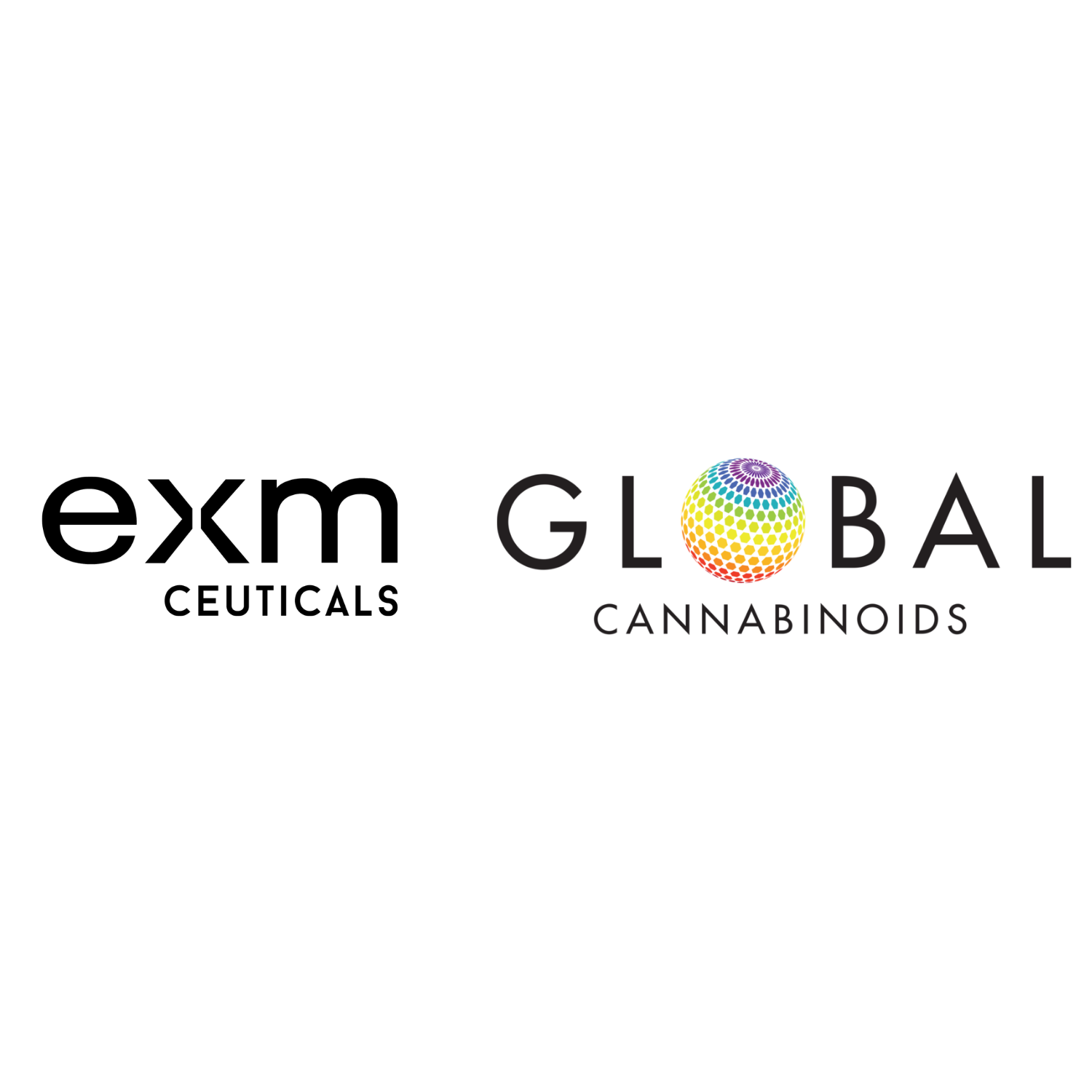 EXM-Global Logo.png