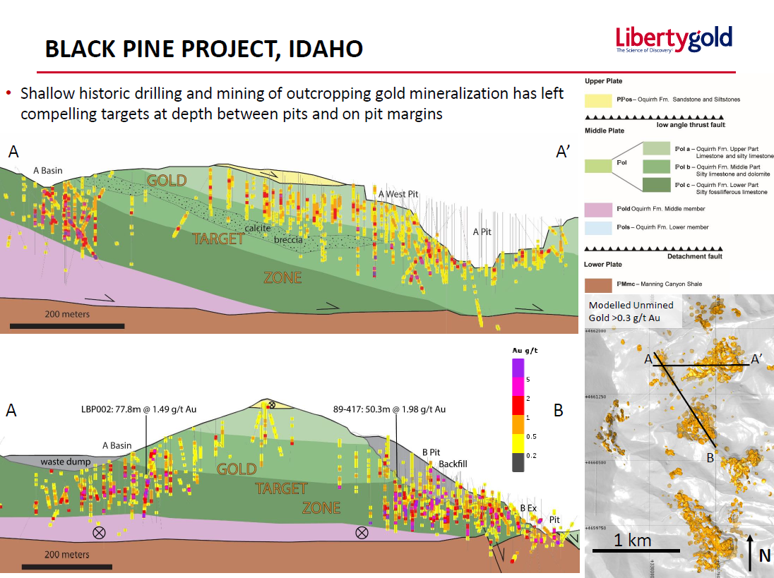 Black Pine Cross Section