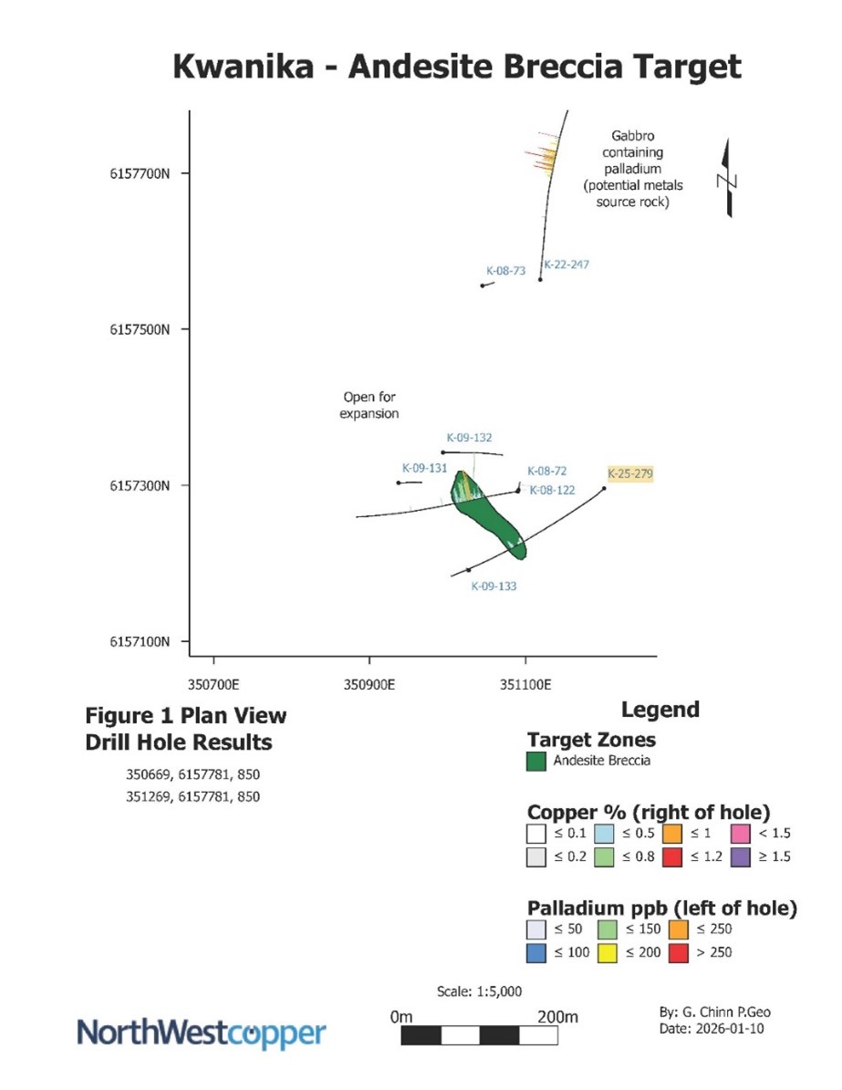 Figure 1 image