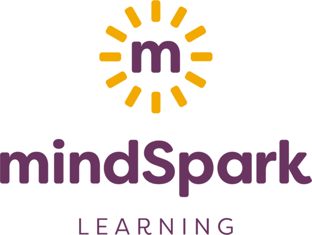 mindSpark Learning a