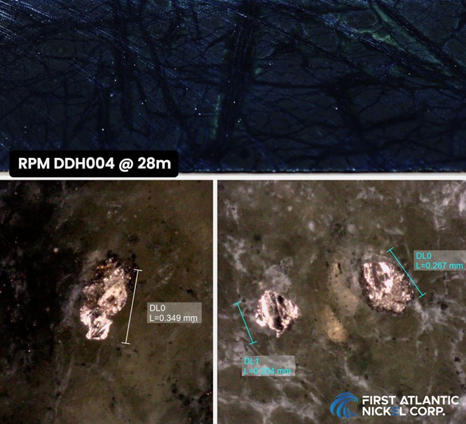 RPM Hole 4 (AN-24-05) drill core, at 28 meters depth. Top image: Disseminated awaruite (sulfur-free nickel alloy) in serpentinized peridotite with magnetite veins. Bottom images: Awaruite grains (up to 349 microns) under a microscope at 28 meters depth.