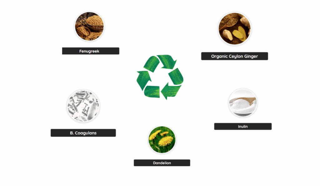 PrimeBiome  Ingredients