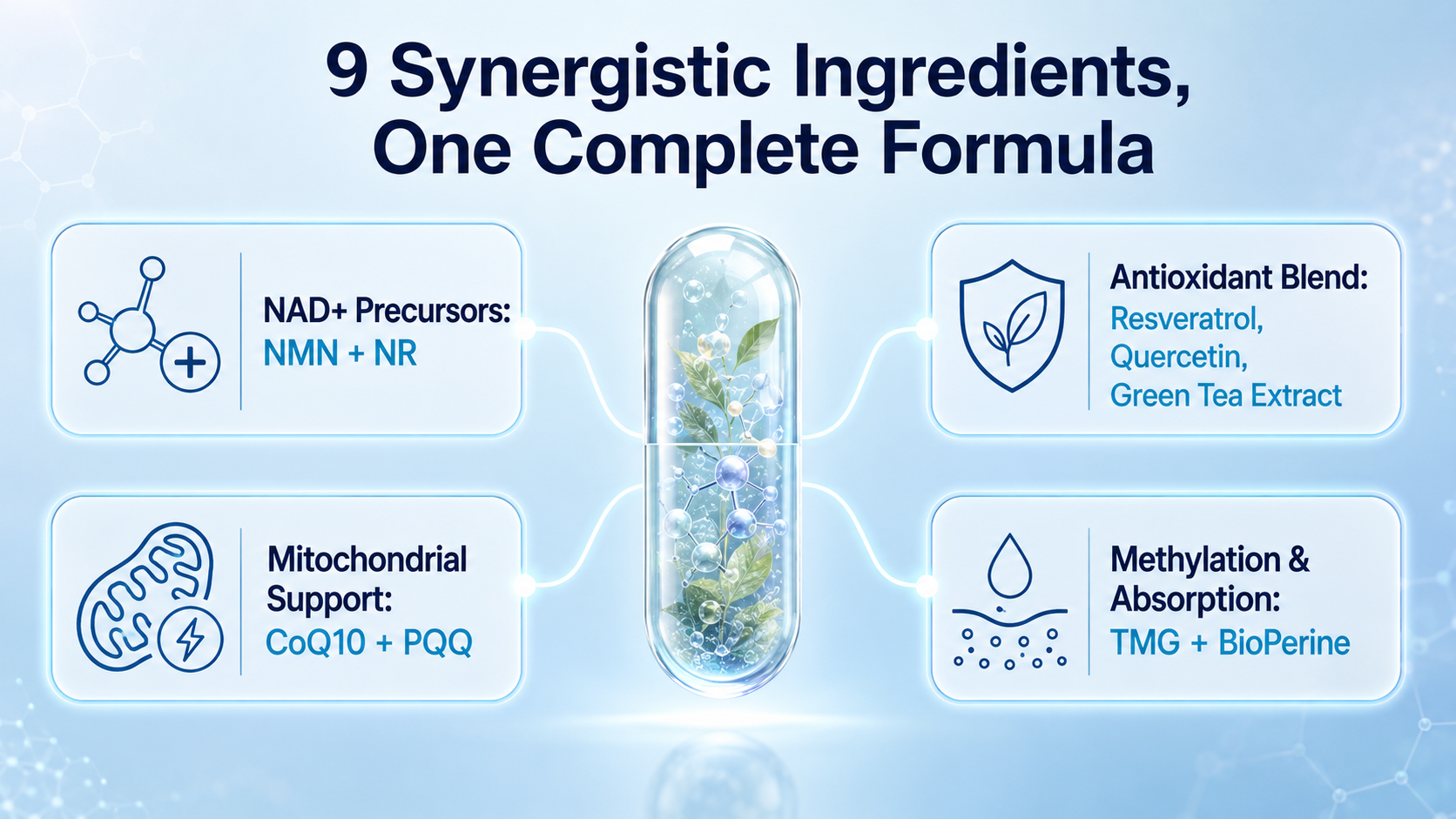 Infographic showing 9 synergistic ingredients in LincNutri NAD+: NMN, NR, CoQ10, PQQ, resveratrol, quercetin, and BioPerine.