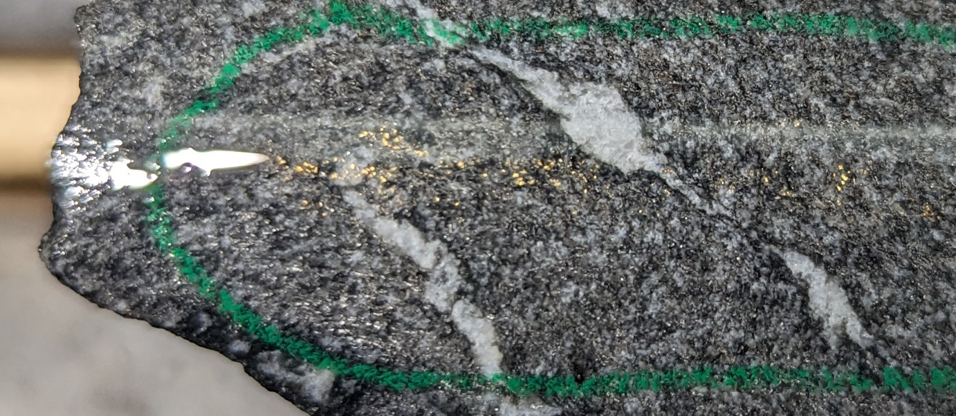 Part of the gold specks observed in a mafic dyke, at 258.0 m in drill hole CH24-305.