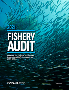 EN Audit Report cover