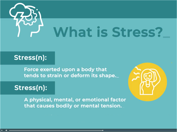 What is stress? PeopleKeys new Stress Management course identifies good and bad stress, and how to use the DISC Personality System for managing bad stress.