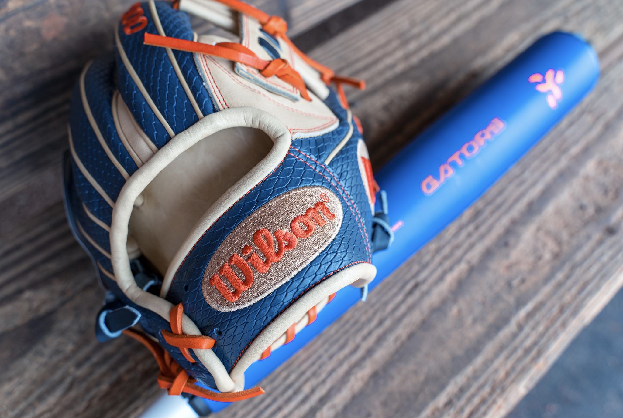 University of Florida (UF) baseball glove day.