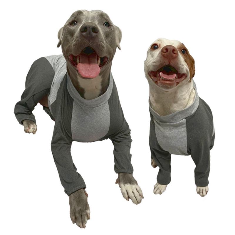 New and Advanced Large Dog Recovery Suit Launched by Big