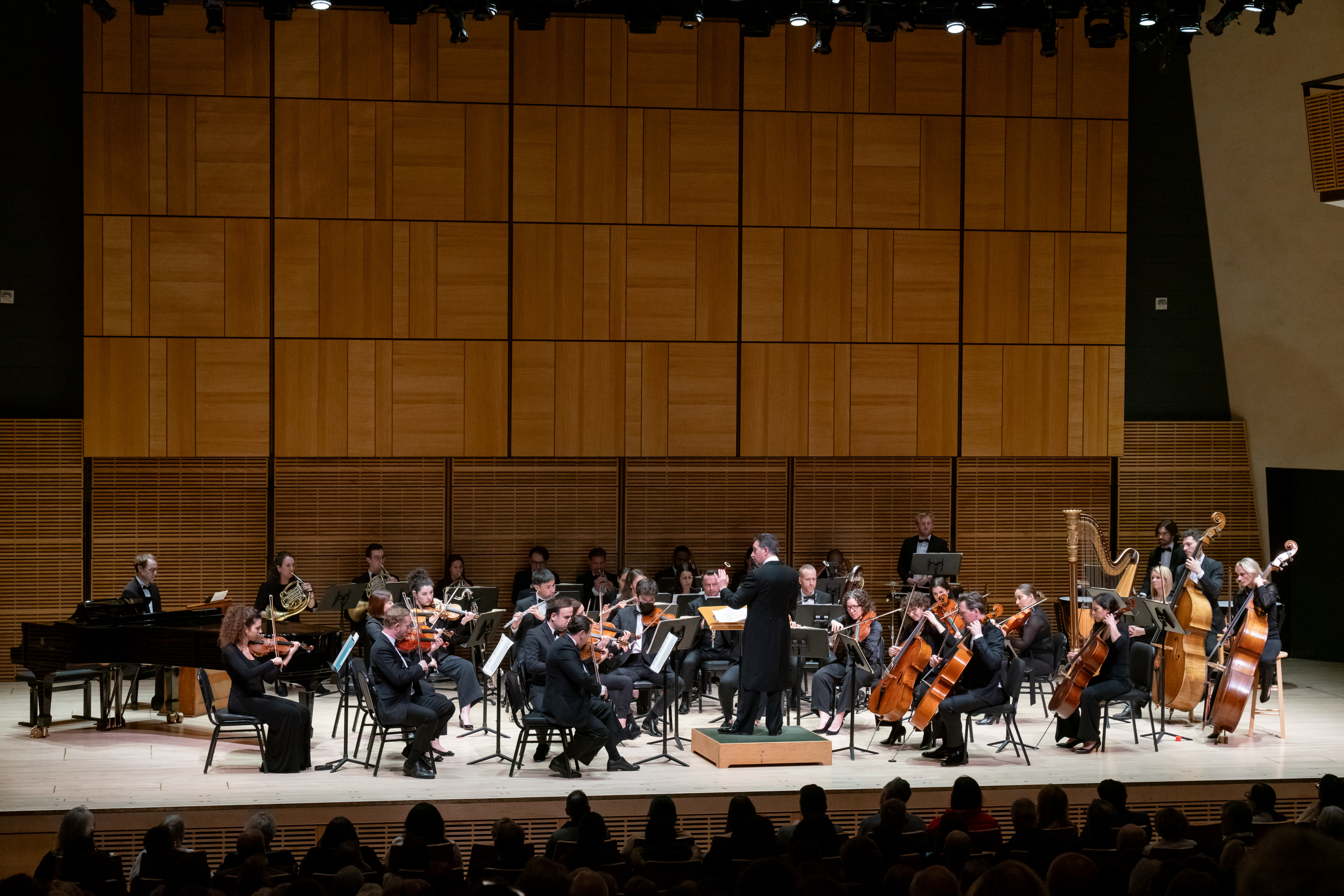 Chamber Orchestra of New York