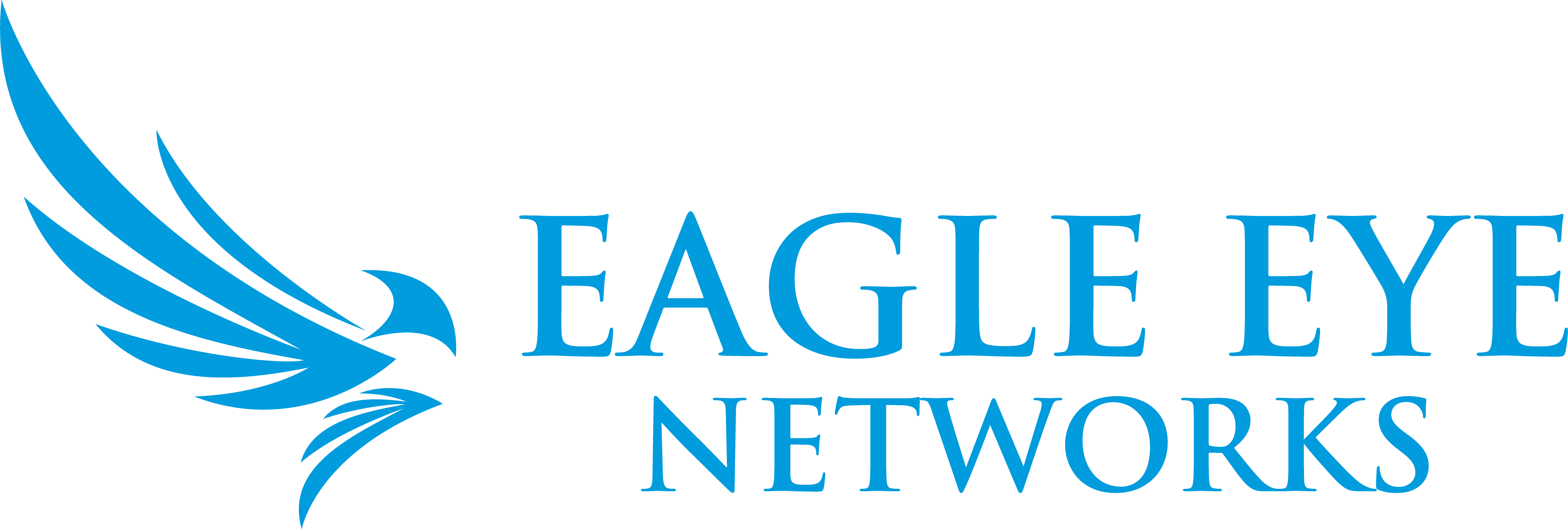 Eagle Eye Networks R