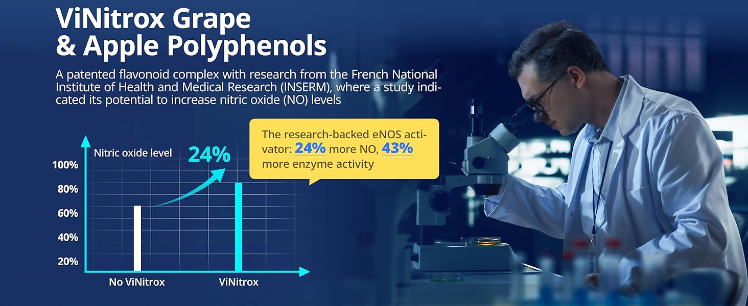 ViNitrox grape and apple polyphenols shown to increase nitric oxide levels by 24% and eNOS activity by 43% in research.