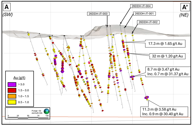Figure 1 image