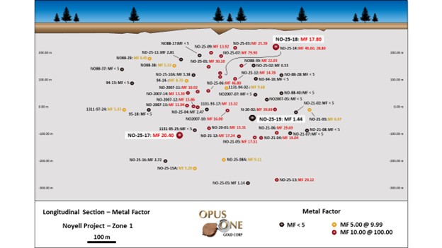 Longitudinal Section