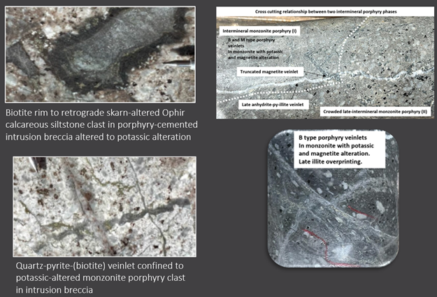 Figure 1: Core photos from Big Hill drill holes showing texture of intrusive rocks and associated alteration, veinlets, and breccia-clasts characteris