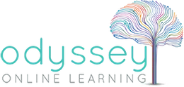 Odyssey online shop learning