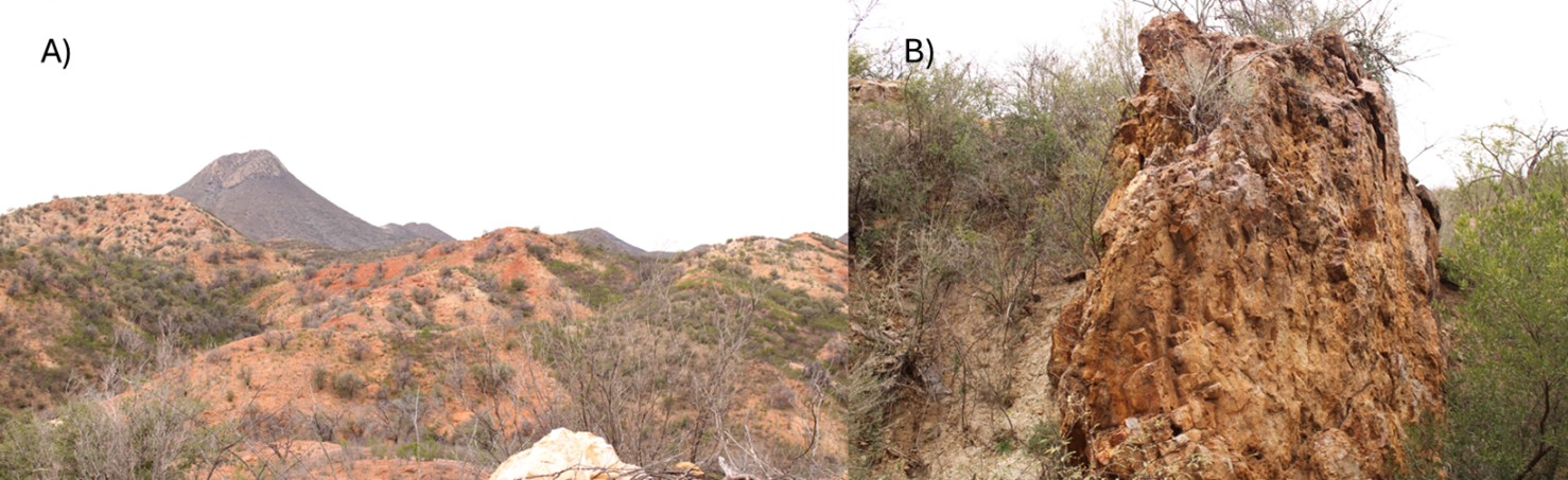 Figure 3. image