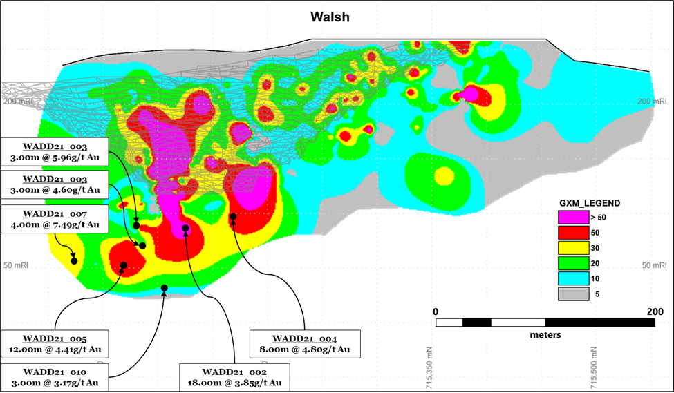 Figure 1: Walsh Pit gram-metre longitudinal section showing extension of mineralization and US$1500 design pit shell: Media Snippet