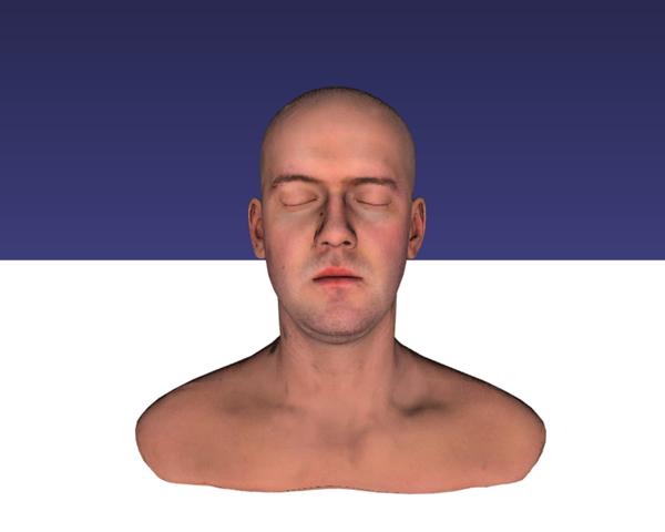 Image 1: Example of physically-based rendering capability