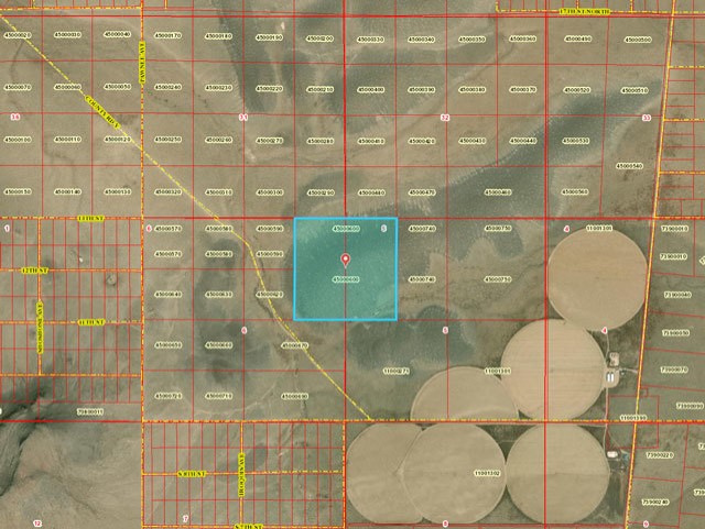 $TMSH - 60 Acres Of Land In Colorado Earmarked For Hemp Growing