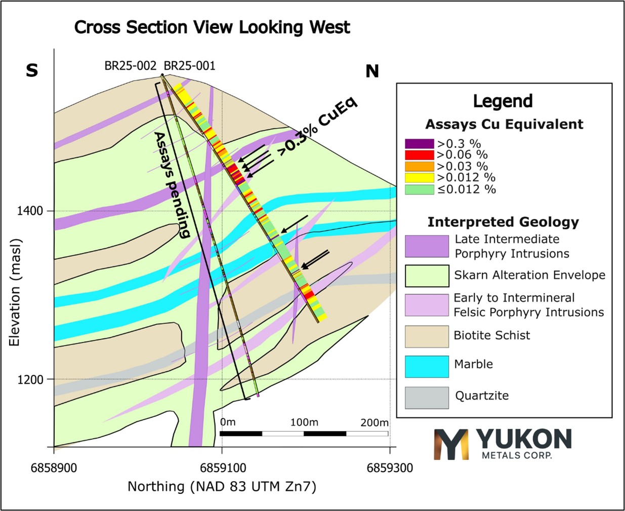 Figure 3 image