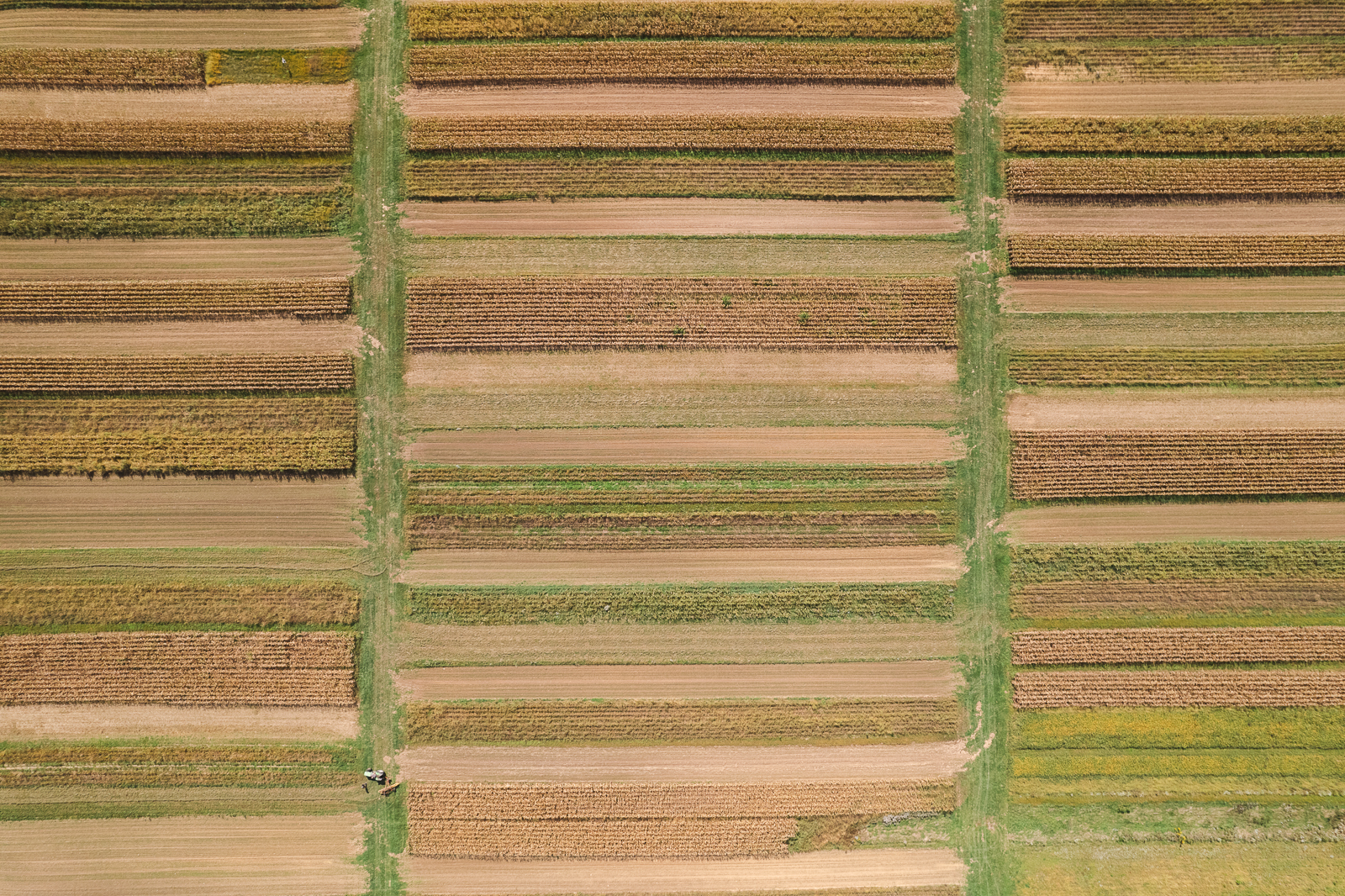 Rodale Institute Farming Systems Trial