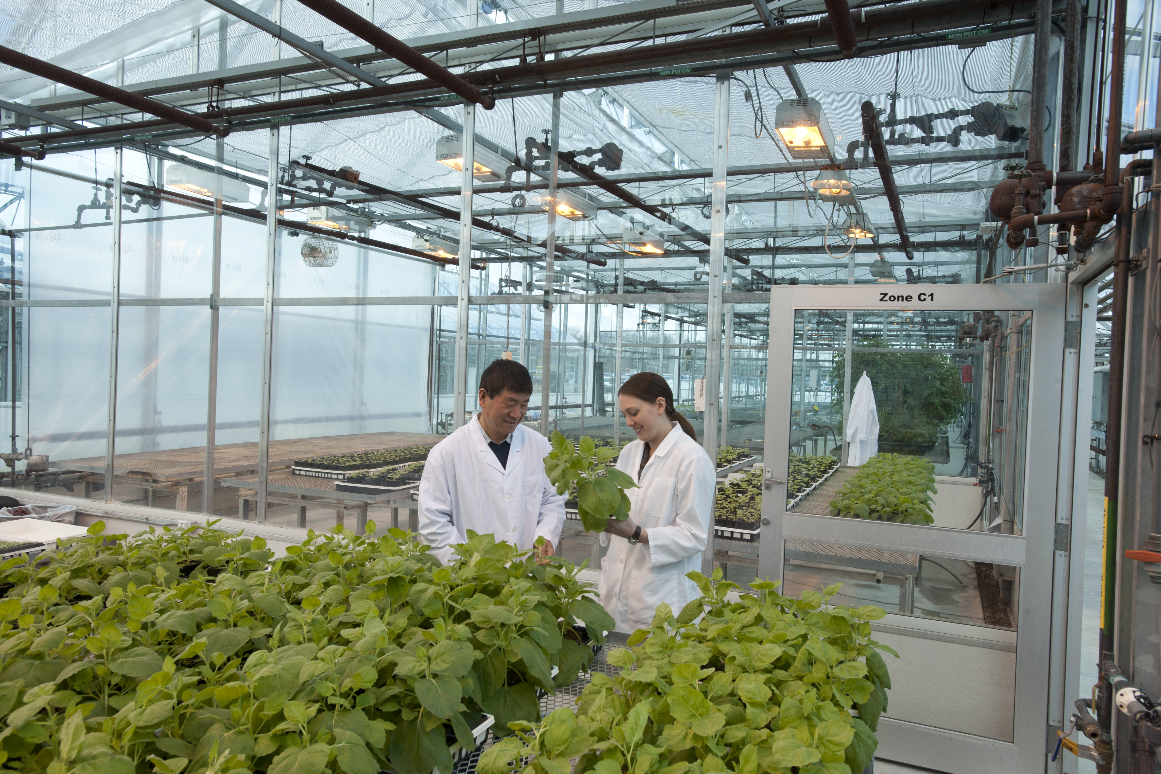 PlantForm Corporation is a biopharmaceutical company focused on the low-cost production of high-value antibody and protein drugs and vaccines using the proprietary vivoXPRESS® plant-based manufacturing platform.