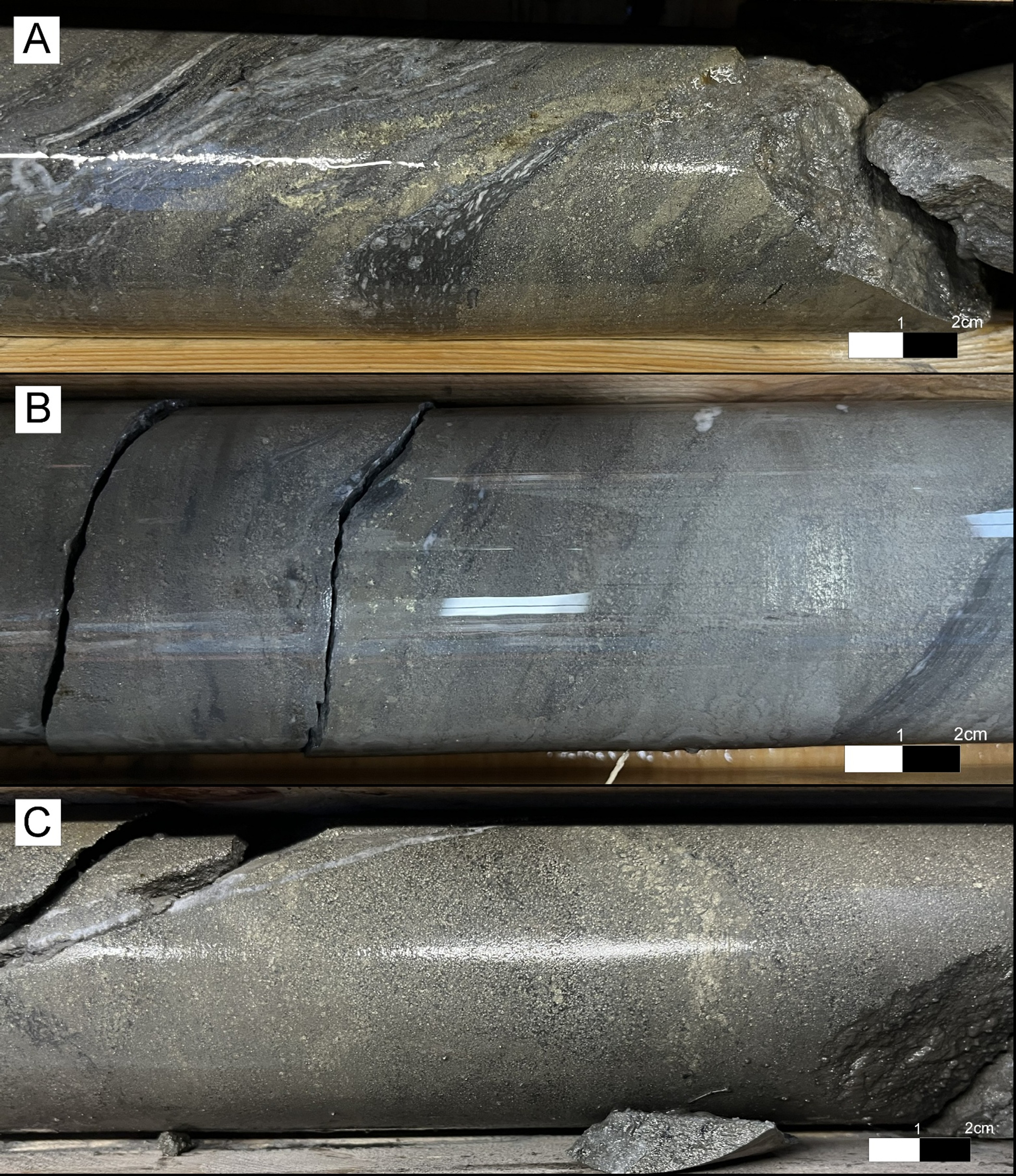 Figure 5 image