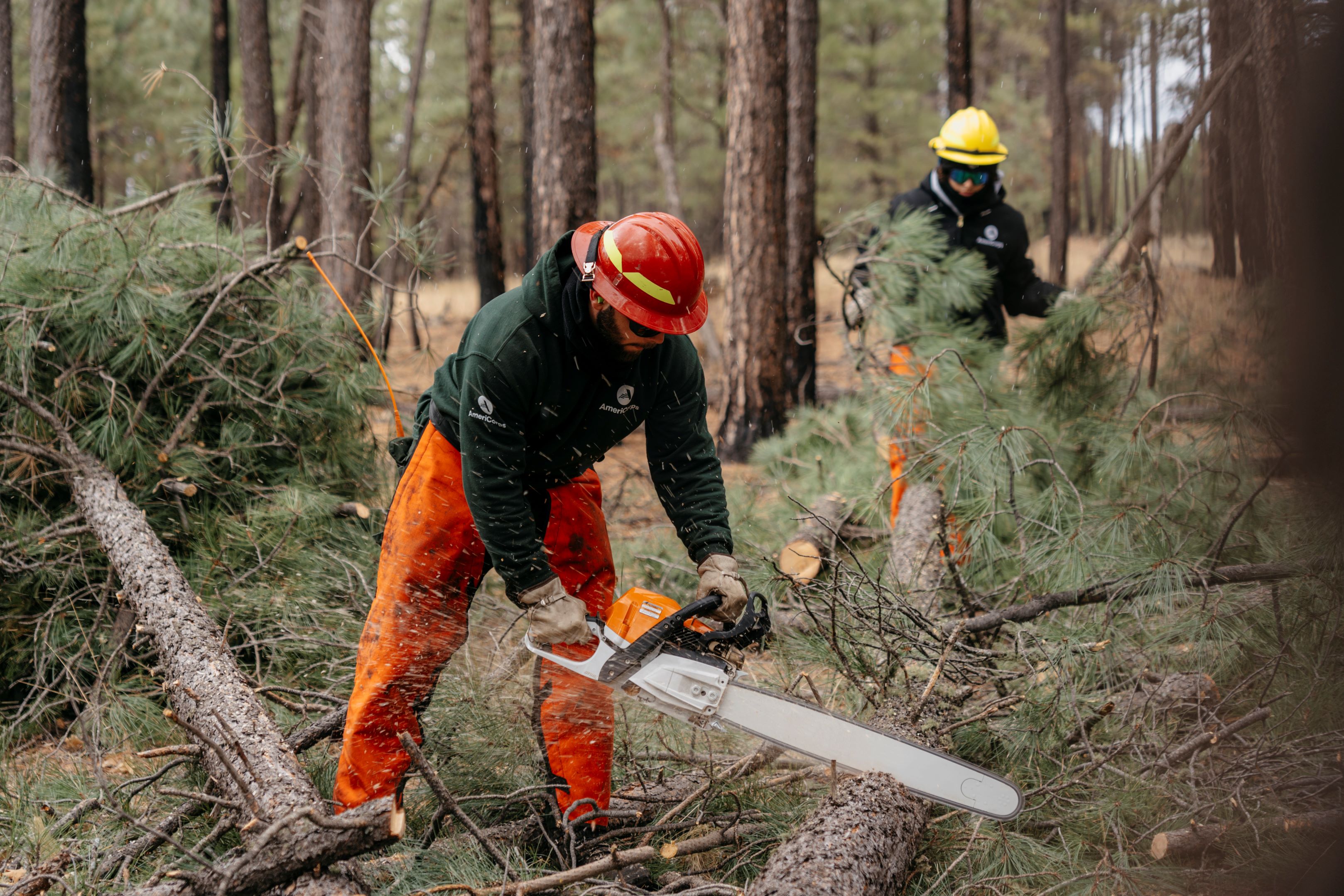 Two AmeriCorps NCCC Forest Corps members serving in the Coconino National Forest in Arizona managing overgrowth.