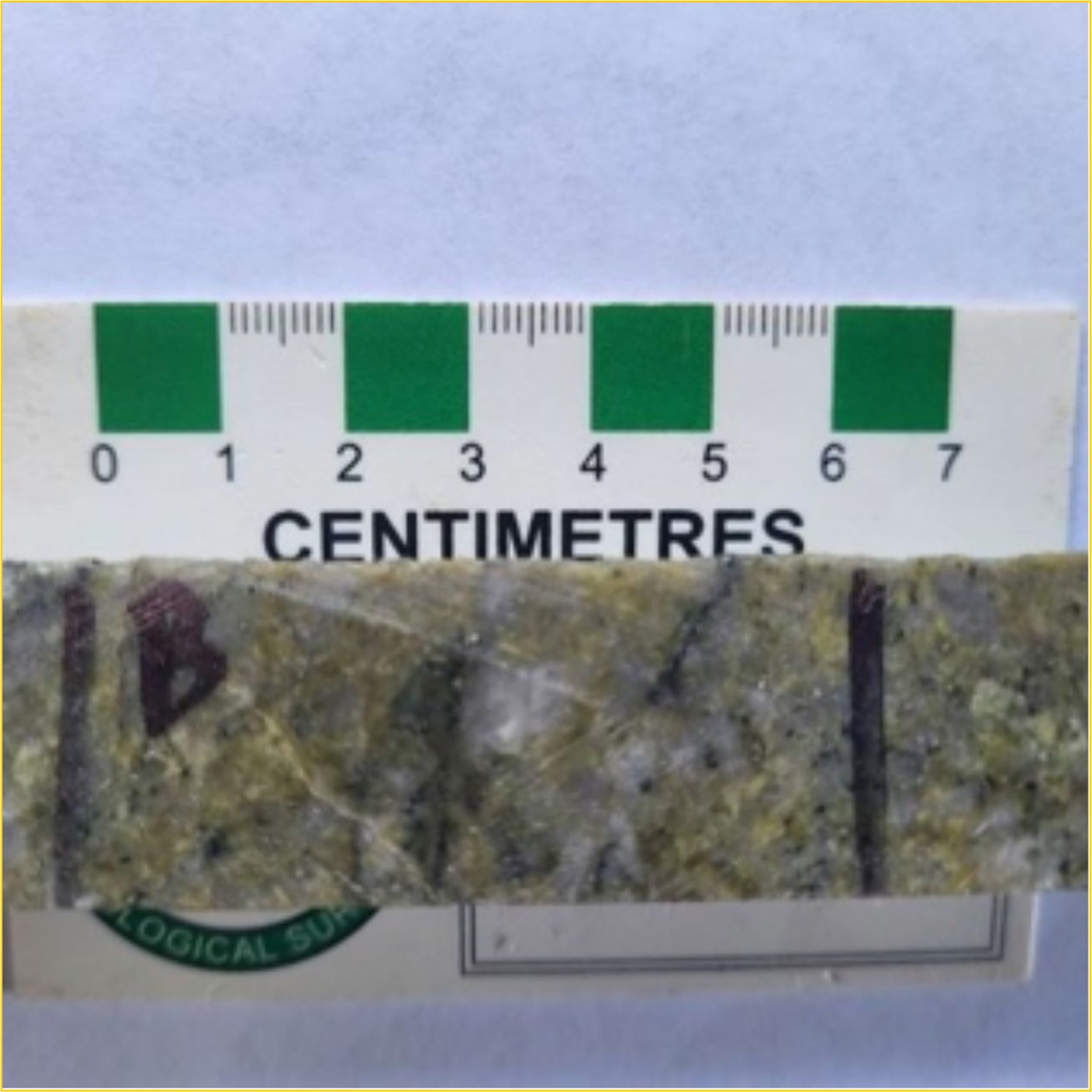 Drill core from 20MT_002 showing hydrothermally altered granodiorite. There is a phyllic style of alteration that consists of green muscovite (phengite), gray quartz, and fine-grained disseminated pyrite cross-cut by millimetre-scale dark green chlorite veinlets and greyish white millimetre scale carbonate veinlets.