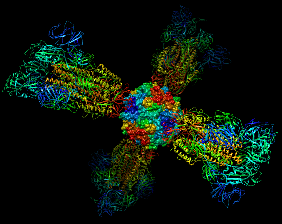 Atomic Rendering of COVID19 Nanoparticle Vaccine