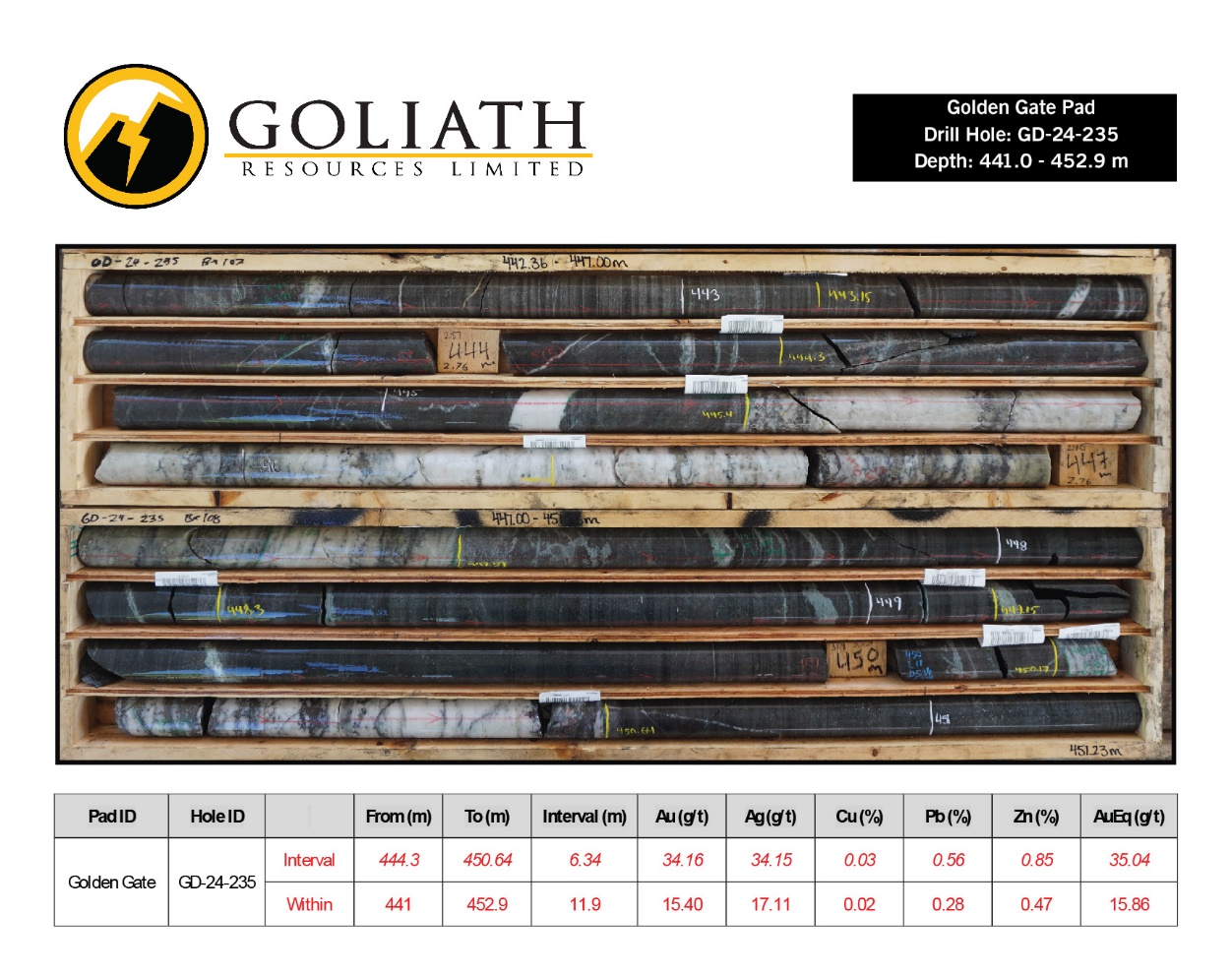 Goliath - image 2