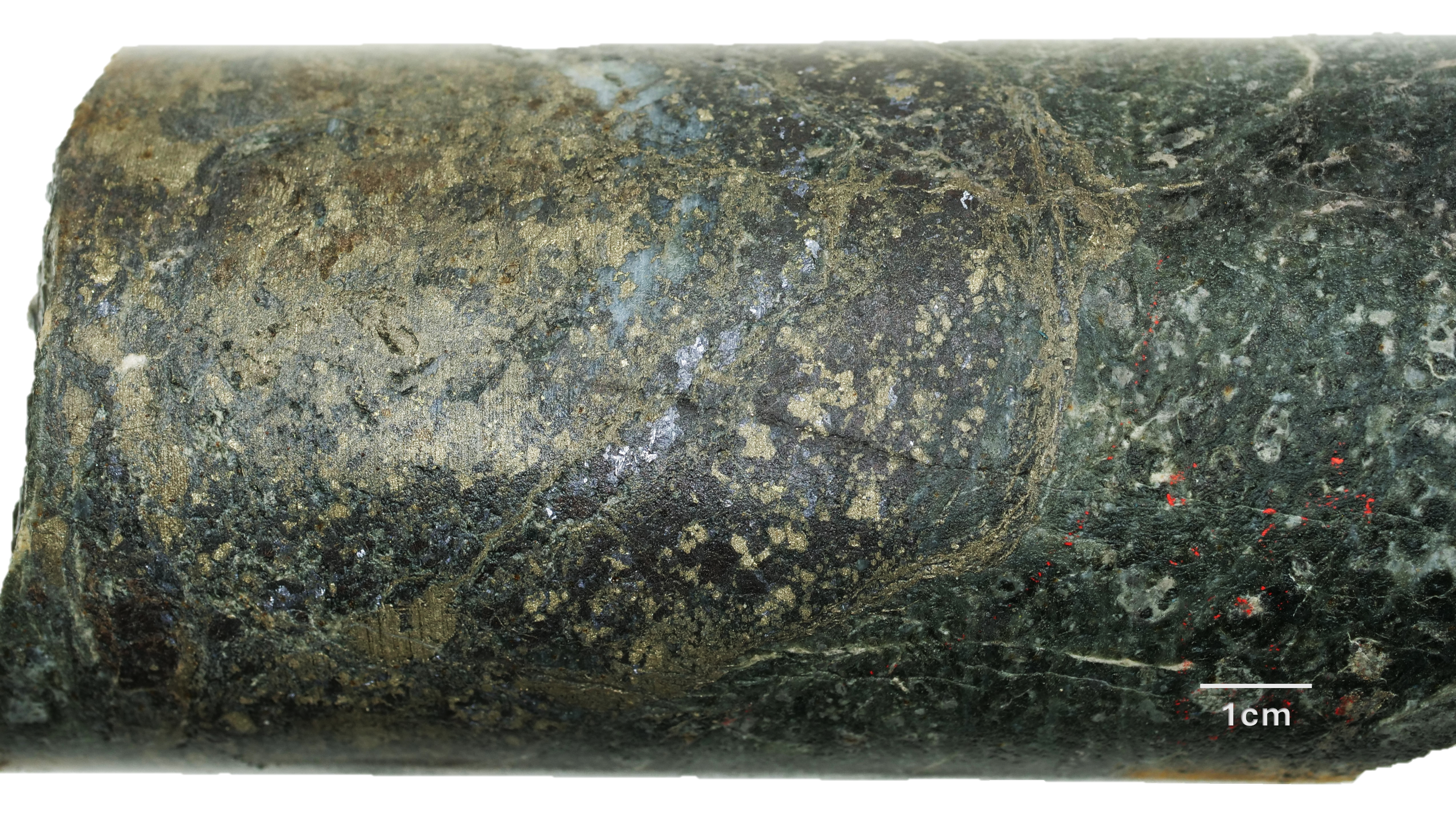 Figure 2 image