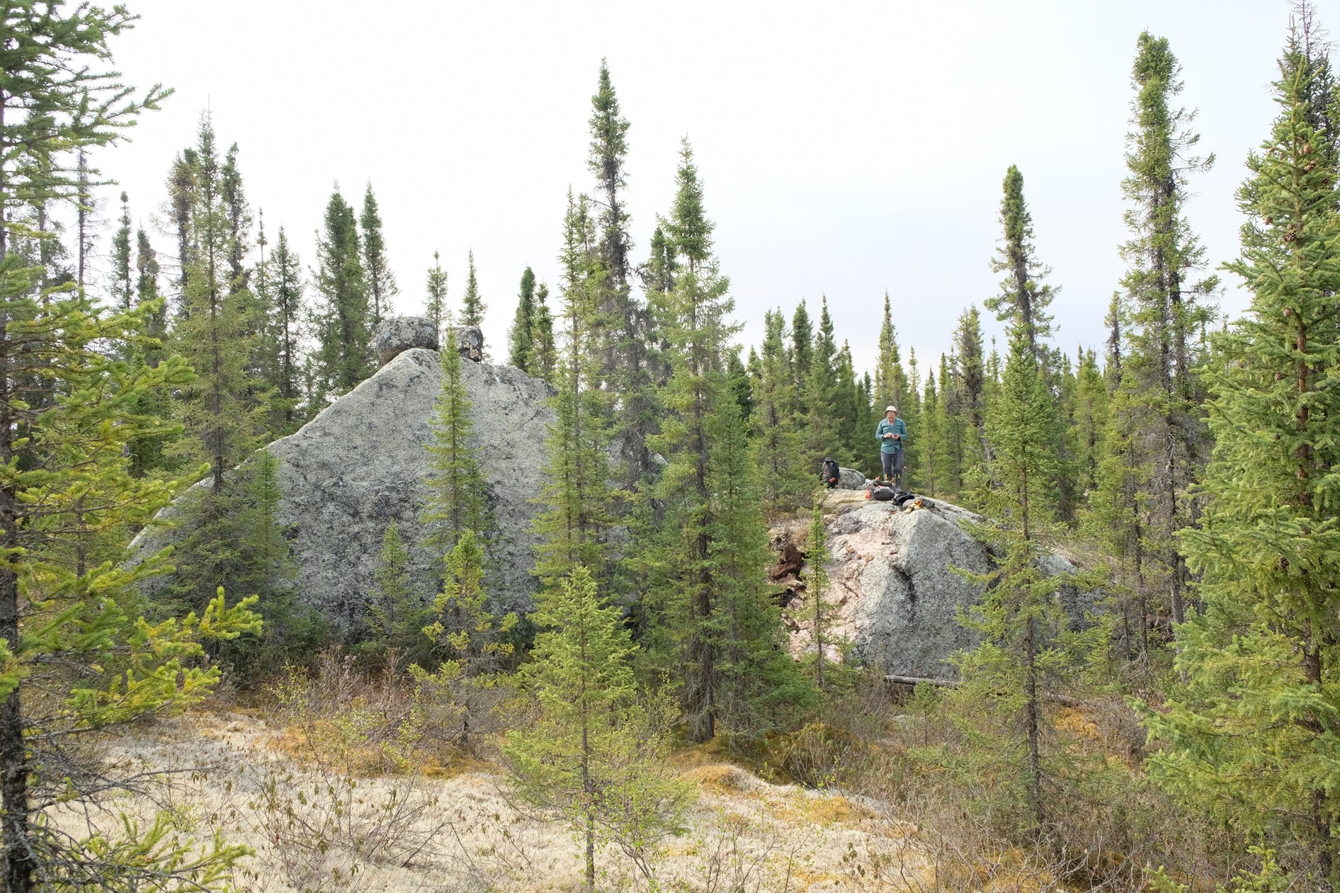 Blocs de pegmatite à spodumène