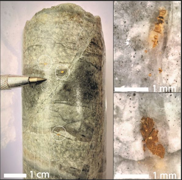 Images showing coarse visible gold on RIDD026 at 386 metres downhole as aggregates of 0.5 to 1 millimetre, hosted by sheeted quartz veins developed within syn-mineral diorites close to the contact with the sandstones.