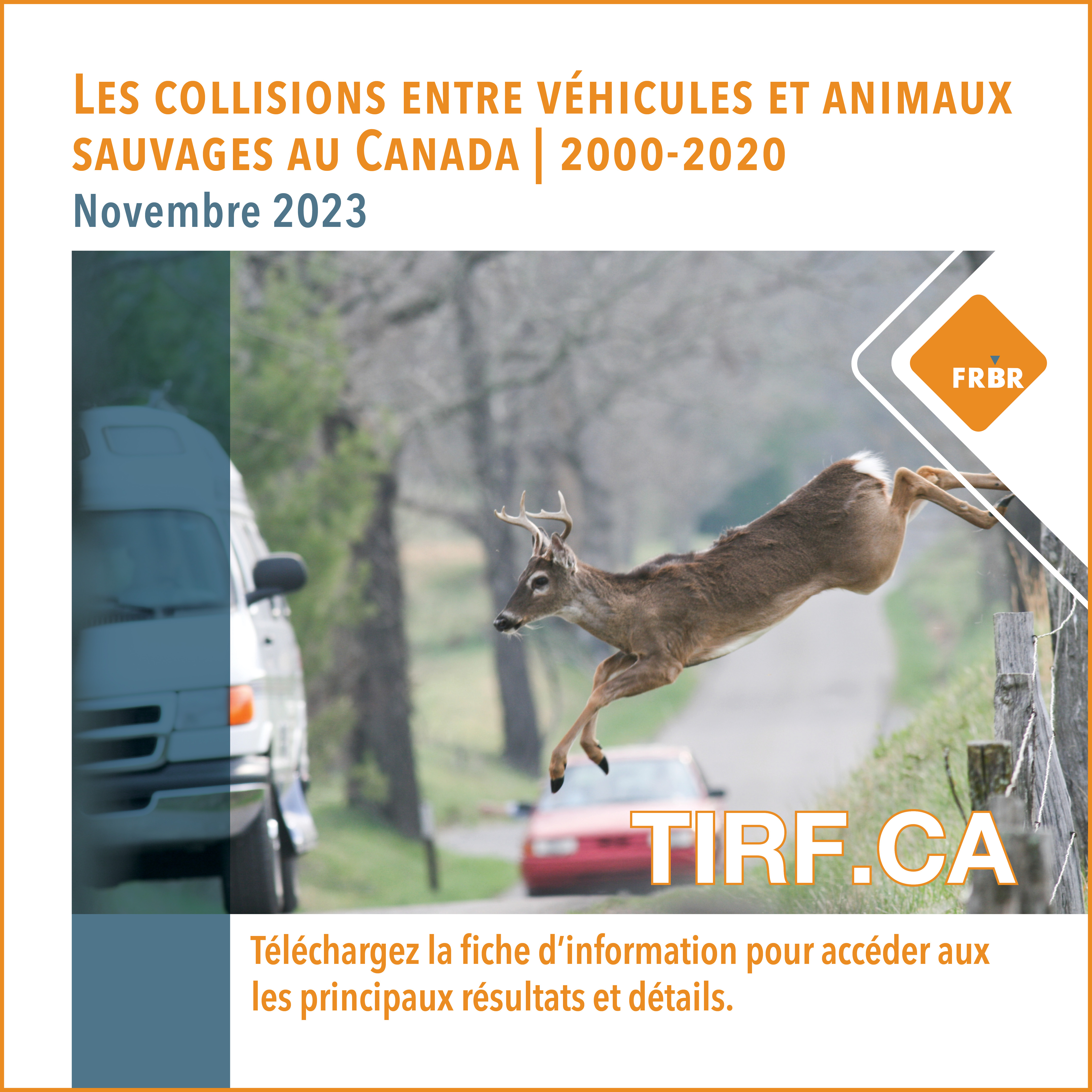 TIRF - WVC in Canada-Main Ad-FR-2