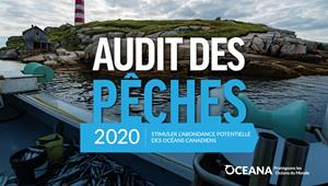 Oceana Canada publie aujourd’hui la quatrième édition annuelle de son Audit des pêches