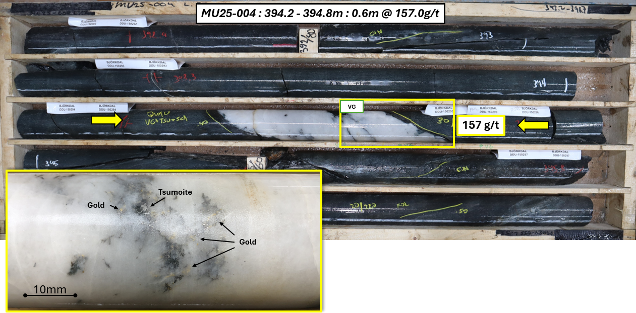 Figure 7 