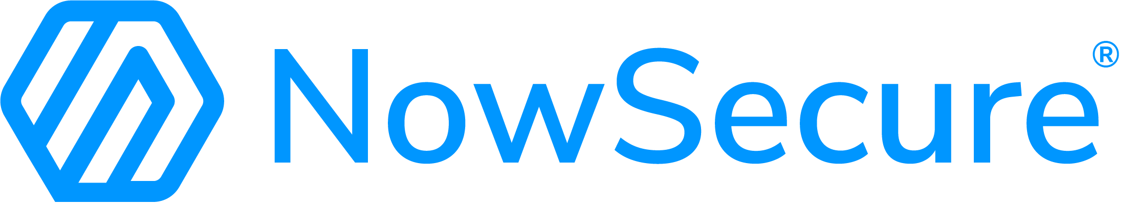 NS blue horiz logo.png