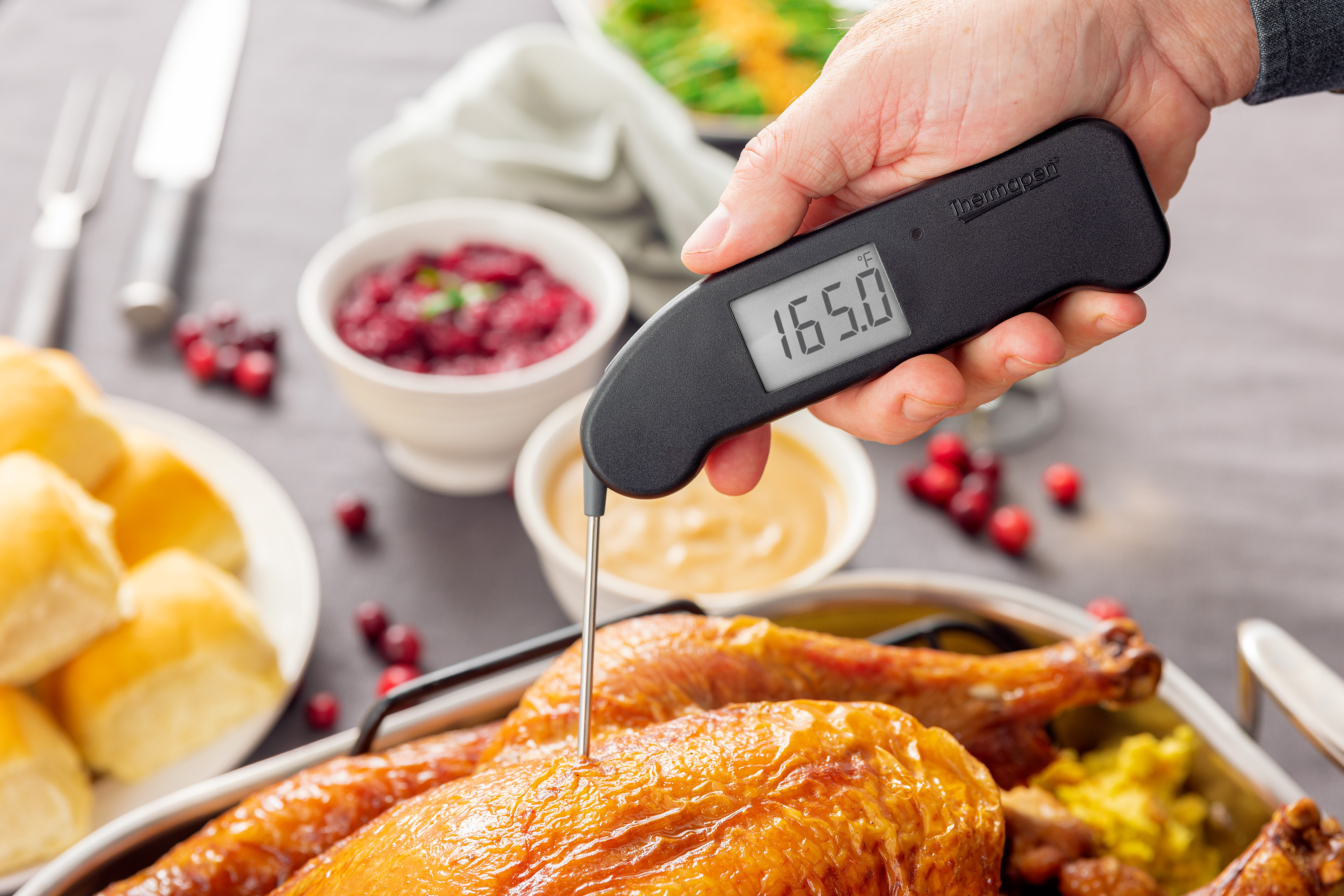 DF-10 Instant-Read BBQ and Meat Thermometer Fork