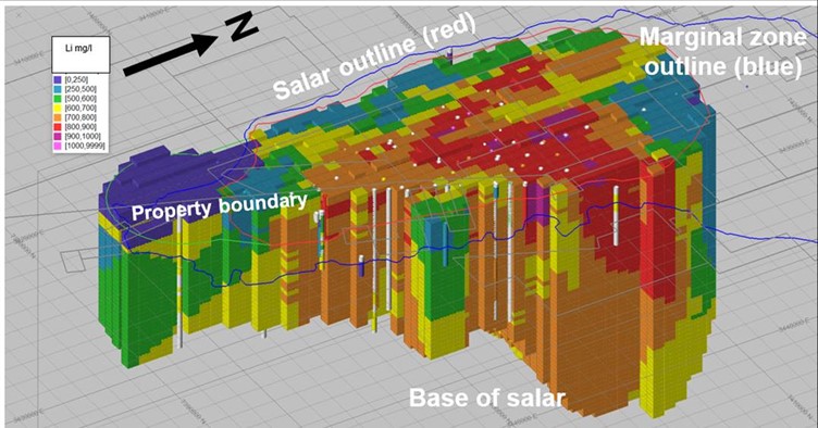 Resource blocks in lithium mg/l, showing the salar edge (red), alluvial zone (green) in the south and the muddy marginal zone outline (between red and blue outlines)