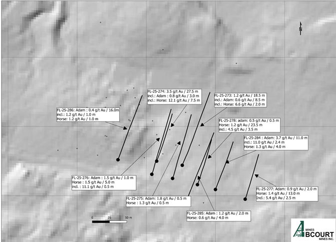 Drilling 2025, Cartwright Area