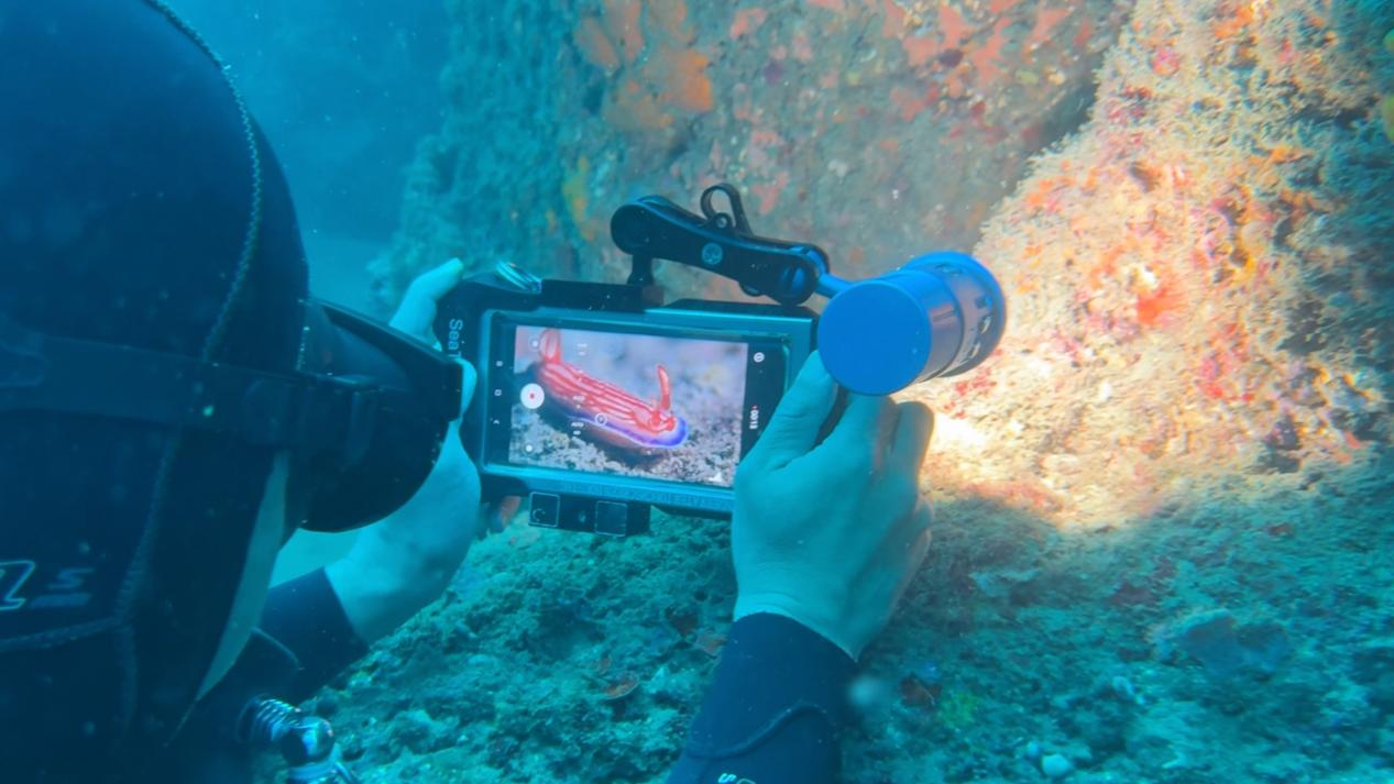 Taking underwater photos with a smartphone using DIVEVOLK's SeaTouch 4