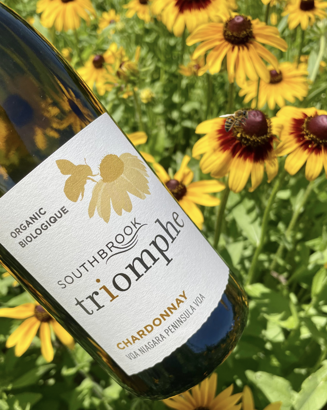 Southbrook Triomphe Organic Chardonnay 2020